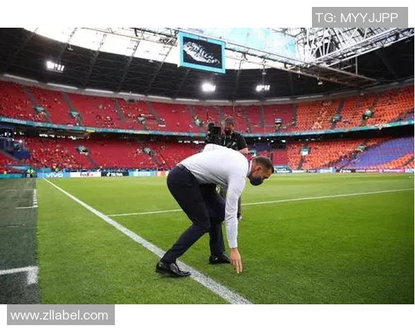 足球达文西的艺术与激情如何重塑现代足球的魅力与战术理念