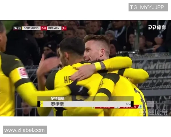 足球球迷的热情与忠诚：探讨他们对球队的支持与文化影响